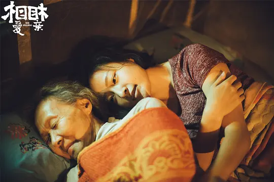 剧情电影《相亲相爱》解说文案/片源下载