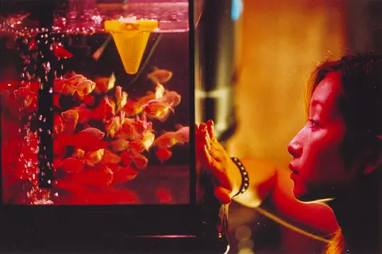 剧情电影《榴莲飘飘》解说文案/片源下载