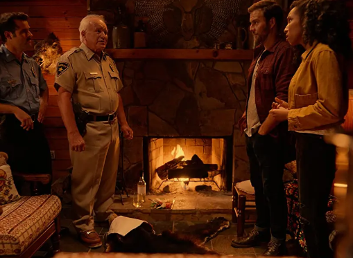 喜剧电影《圣诞原木》解说文案/片源下载