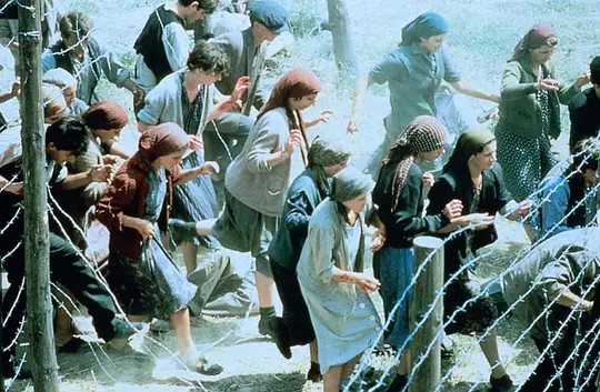 战争电影《逃离索比堡》解说文案/片源下载