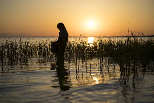 悬疑电影《沼泽深处的女孩》解说文案/片源下载
