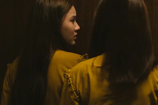 惊悚电影《安妮的脸》解说文案/片源下载