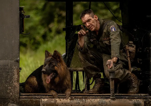 动作电影《伏击》解说文案/片源下载