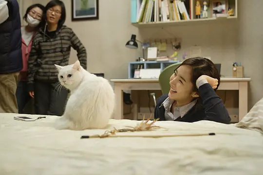 恐怖电影《猫：看见死亡的双眼》解说文案/片源下载