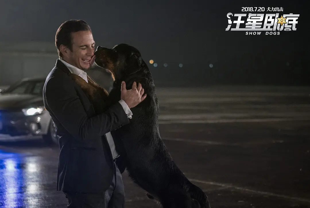 喜剧电影《汪星卧底》解说文案/片源下载