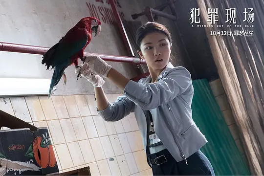 悬疑电影《犯罪现场》解说文案/片源下载