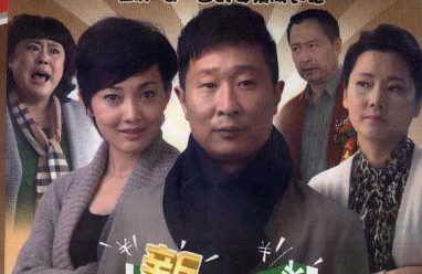 电视剧《新女婿时代》35集电视剧解说文案/片源下载