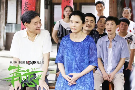 电视剧《青恋》26集电视剧解说文案/片源下载