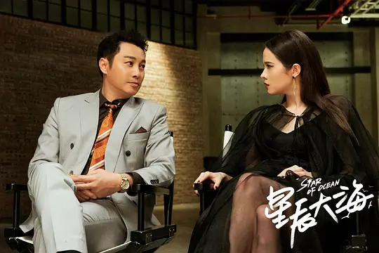 电视剧《星辰大海》41集电视剧解说文案/片源下载