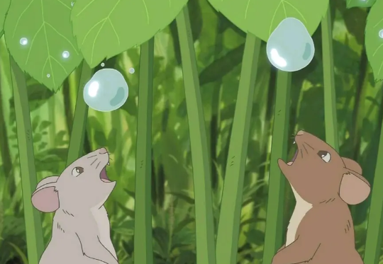 动漫电影《川之光》解说文案/片源下载