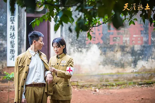 电视剧《天涯热土》36集电视剧解说文案/片源下载