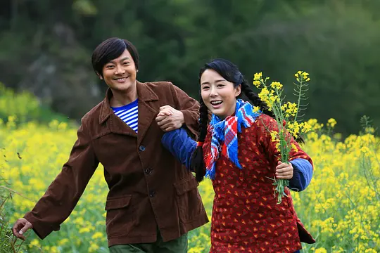 电视剧《油菜花香》30集电视剧解说文案/片源下载（完结）