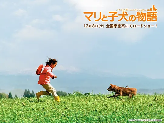 剧情电影《爱犬的奇迹》解说文案/片源下载