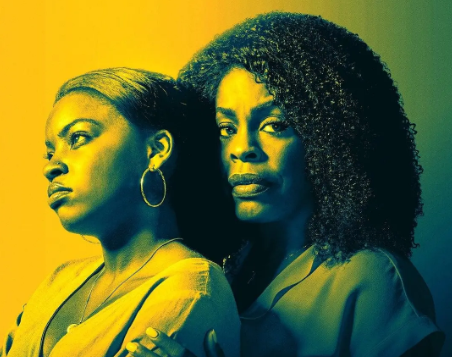 剧情电影《为母所盗：卡蜜亚·莫布里的故事》解说文案/片源下载