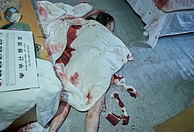 恐怖电影《诅咒录影》解说文案/片源下载