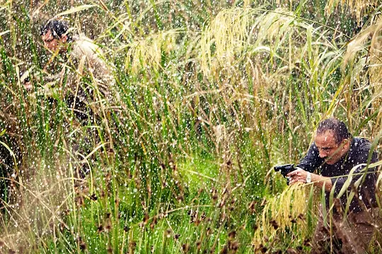 悬疑电影《沼泽地》解说文案/片源下载