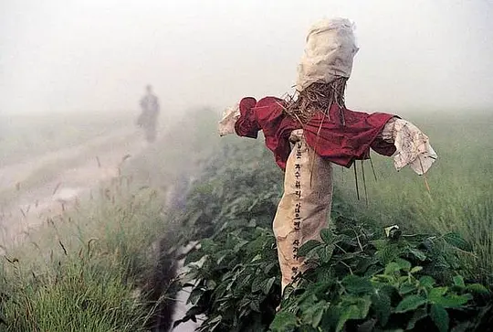 悬疑电影《杀人回忆》解说文案/片源下载