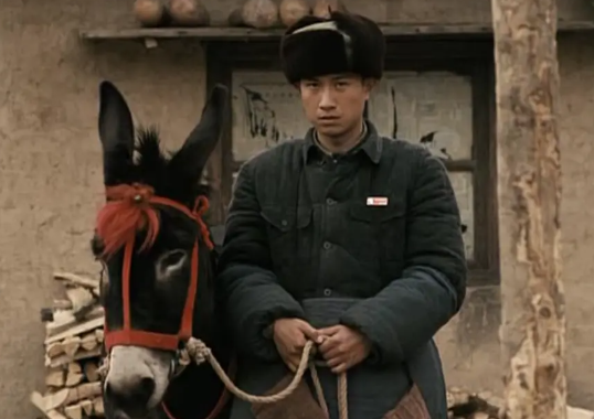 剧情电影《走着瞧》解说文案/片源下载