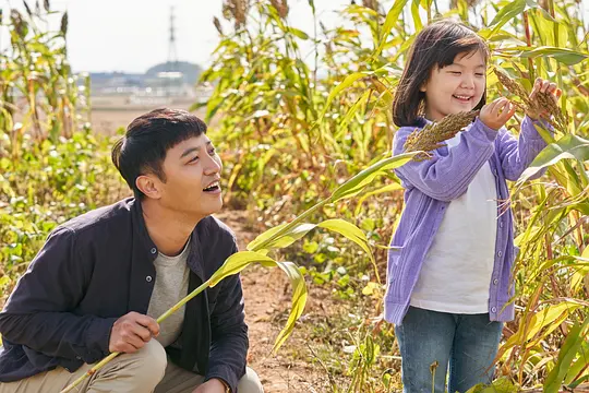 剧情电影《对我来说非常珍贵的你》解说文案/片源下载