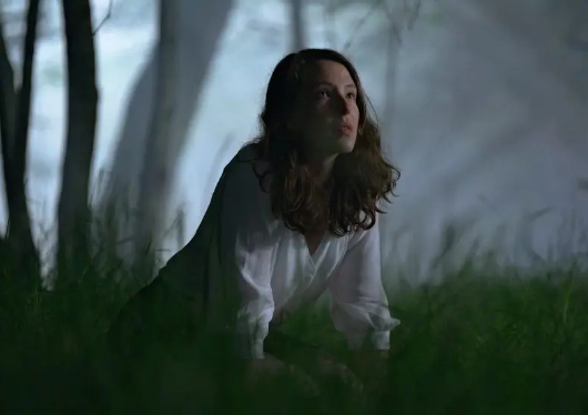 惊悚电影《魇会》解说文案/片源下载