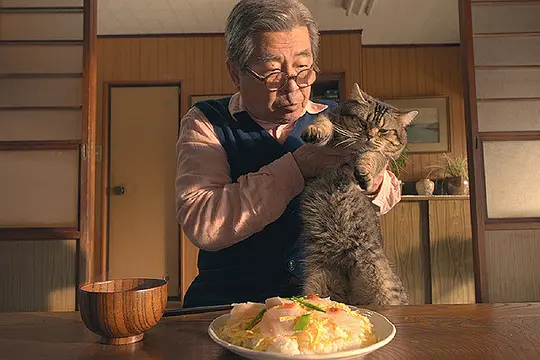 剧情电影《猫与爷爷》解说文案/片源下载