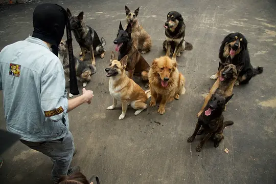 喜剧电影《超能力家庭》解说文案/片源下载