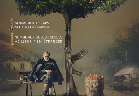 战争电影《金橘》解说文案/片源下载