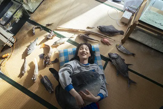 剧情电影《鱼之子》解说文案/片源下载
