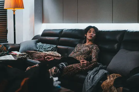 犯罪电影《犯罪都市3》解说文案/片源下载