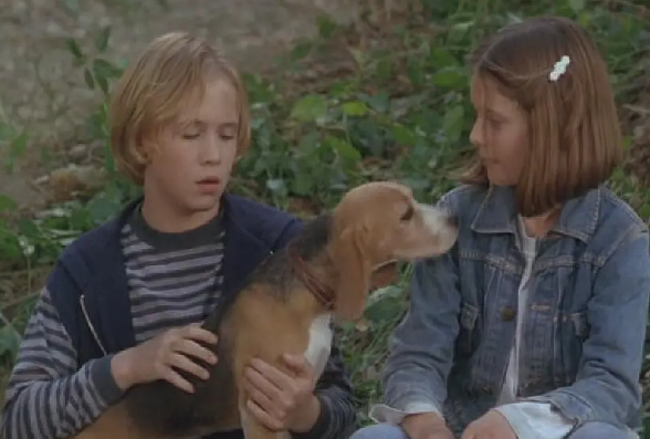 剧情电影《夏伊洛》解说文案/片源下载