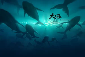 动漫电影《大鱼海棠》解说文案/片源下载