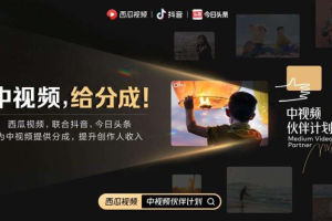 中视频伙伴计划如何赚钱：这4种账号类型，很适合赚平台的播放量收益