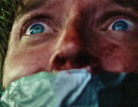 恐怖电影《15个摄像头》解说文案/片源下载