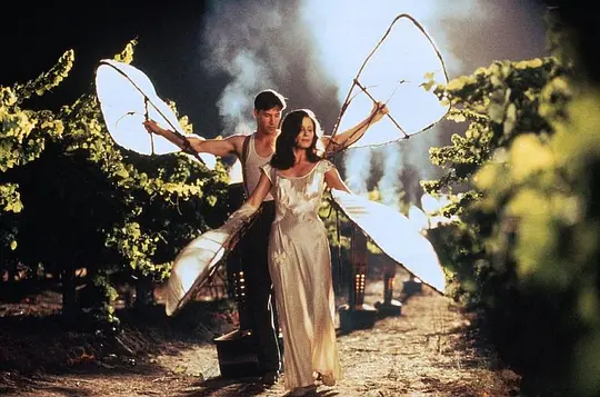 剧情电影《云中漫步》解说文案/片源下载