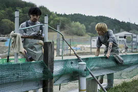 剧情电影《村庄》解说文案/片源下载