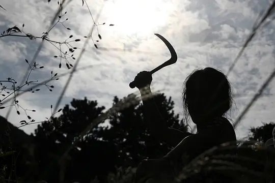 犯罪电影《金福南杀人事件始末》解说文案/片源下载