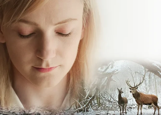 剧情电影《肉与灵》解说文案/片源下载