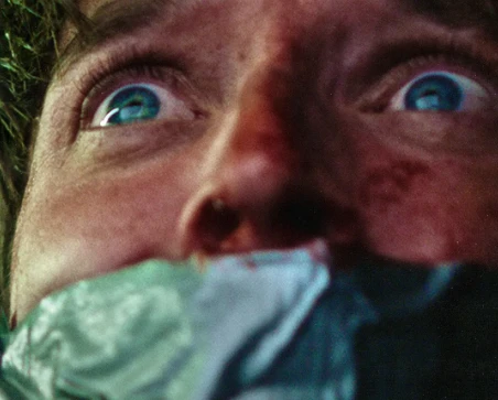 恐怖电影《15个摄像头》解说文案/片源下载