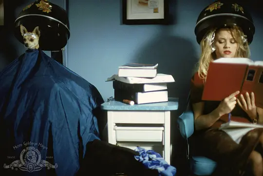 喜剧电影《律政俏佳人》解说文案/片源下载