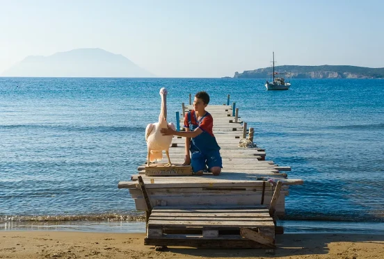 喜剧电影《男孩与鹈鹕》解说文案/片源下载