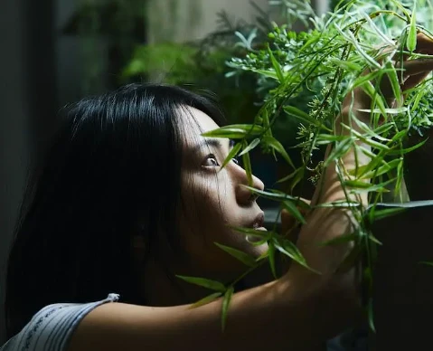 悬疑电影《叔叔》解说文案/片源下载