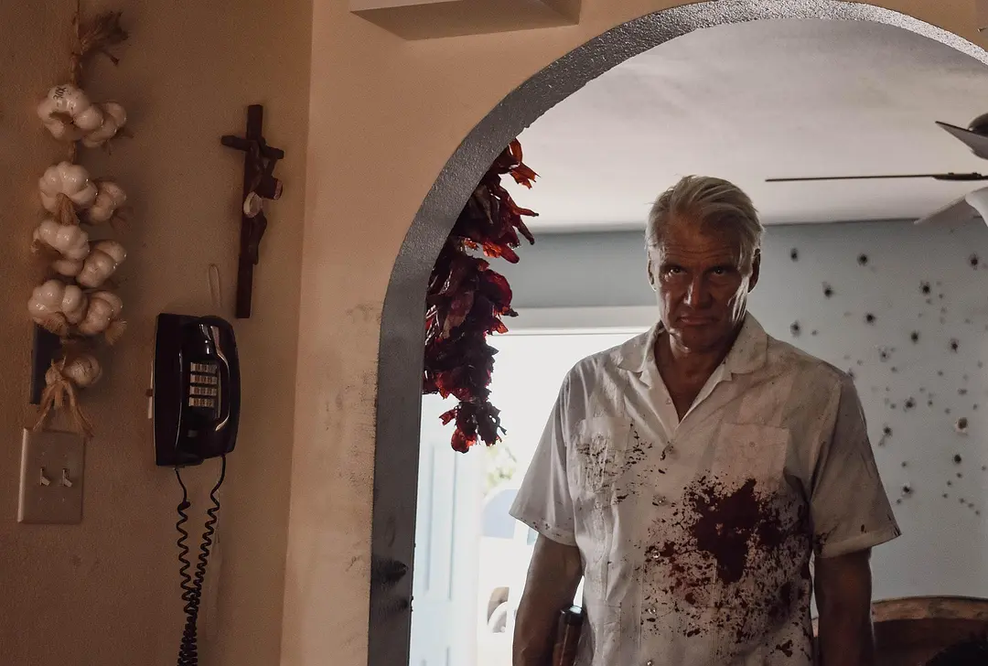 动作电影《通缉犯》解说文案/片源下载