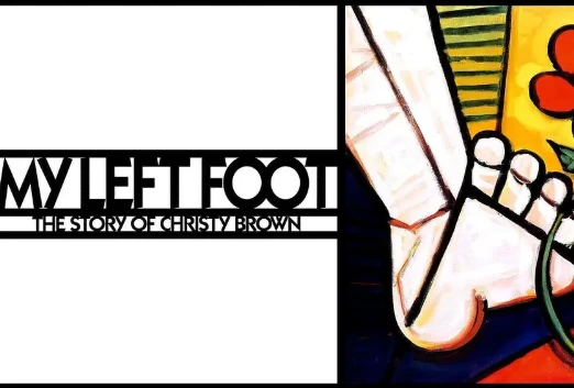 励志电影《我的左脚》解说文案/片源下载