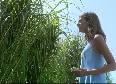 惊悚电影《高草丛中》解说文案/片源下载