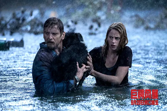 灾难电影《巨鳄风暴》解说文案/片源下载