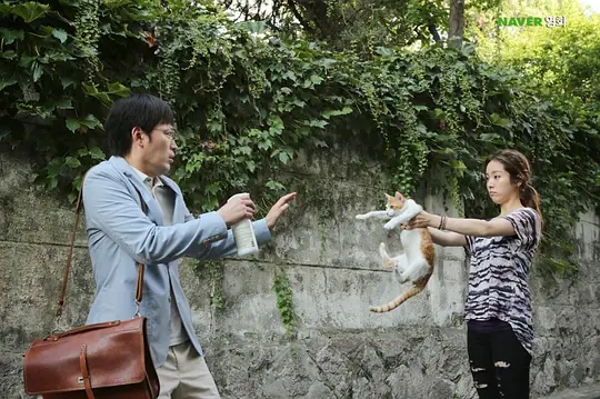 喜剧电影《计划男》解说文案/片源下载