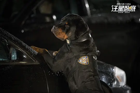 喜剧电影《汪星卧底》解说文案/片源下载