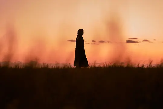 恐怖电影《王国：北方的阿信》解说文案/片源下载