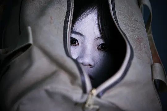 恐怖电影《咒怨：白老妇》解说文案/片源下载