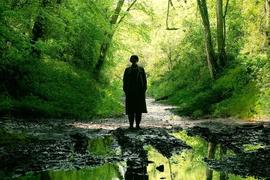 恐怖电影《男人》解说文案/片源下载